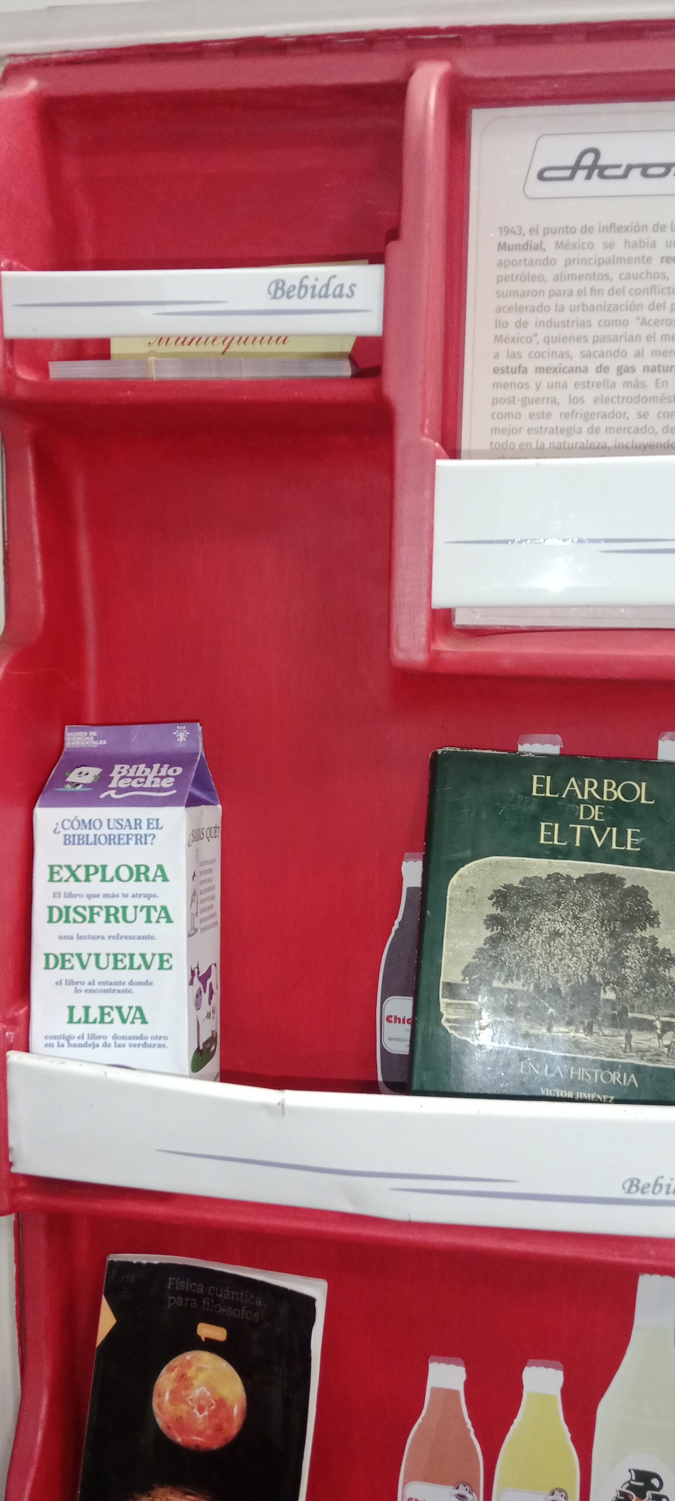 Proyecto Biblioleche con niñas y niños